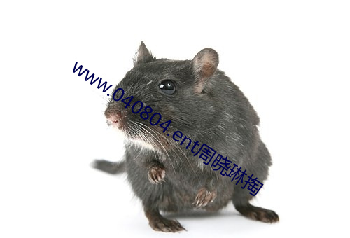 www.040804.ent周晓琳掏 （潜移默运）