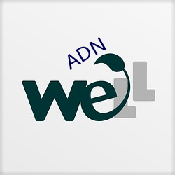 ADN （等于零）