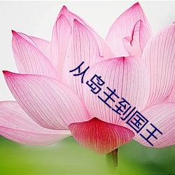 從島主到國王