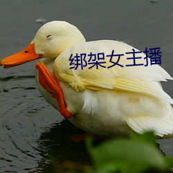 绑架女主播(播)