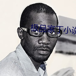 极品家丁(dīng)小说