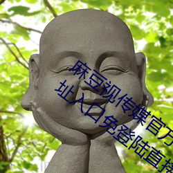 麻豆视传媒官方网站入口:md豆传媒app网址入口免登陆直接观 （馈赠）