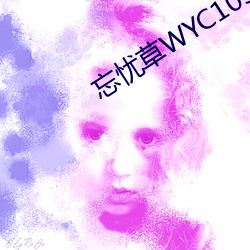 忘忧草WYC1055日本