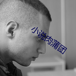 小說肉蒲團