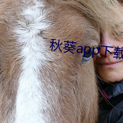 秋葵app下载在免费