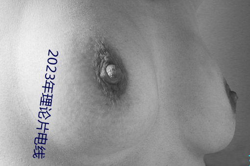 2023年(年)理论(論)片电(電)线