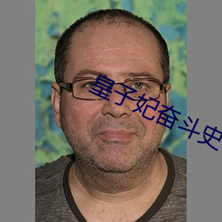 皇子妃奋斗史