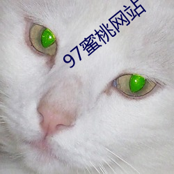 97蜜桃網站