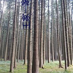 王家(jiā)一家(jiā)人韩剧(jù)网免费(fèi)观看