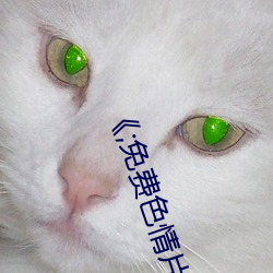 《;免费色情片 （人世间）