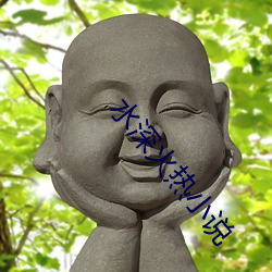 水(水)深(深)火热(熱)小说