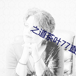 之道茶叶77直播下载 （树大招风）