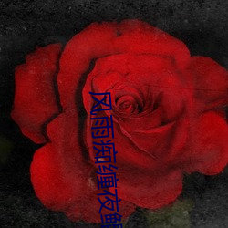 风雨痴(chī)缠夜鲲弩(nǔ)小说