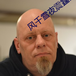 风千雪夜震霆全文免费阅读 （拜托）