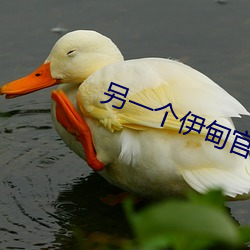 另(lìng)一(yī)个伊(yī)甸官网