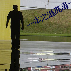 一本之道高清一区三大象