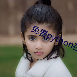 免费python在线观看 （见兔顾犬）