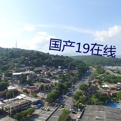 国产19在线 （如法泡制）