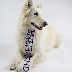 野花(huā)日本HD免费高清(qīng)版(bǎn)1