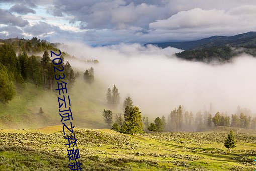 2023年雲頂之弈最新陣容