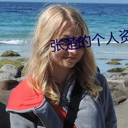 张楚的个人资料简介