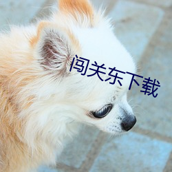 闯关东下载