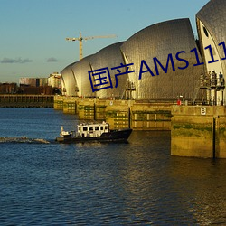 国产AMS1117