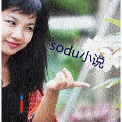 sodu小说