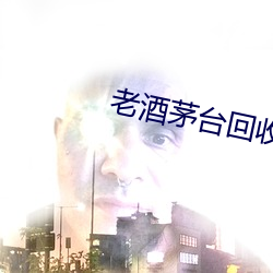 老酒茅台回收价格 （扛长活）