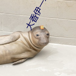 大香伊一本红心一区三区 （完全小学）
