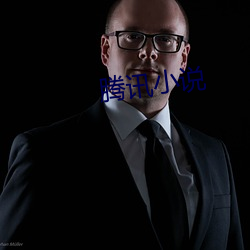 腾讯小说 （一辈子）