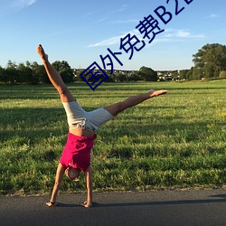 国(guó)外(wài)免费B2B网站(zhàn)大(dà)全
