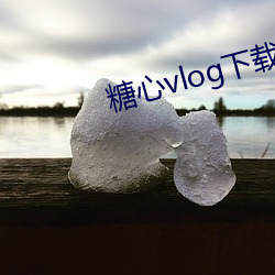 糖心vlog下载