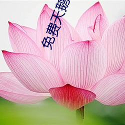 免费(fèi)天(tiān)鹅芭(bā)大象(xiàng)一区