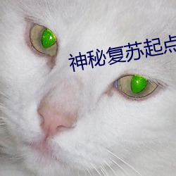 神秘复苏起点中文网 （断壁颓垣）