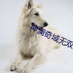 神瀾奇域無雙珠動漫觀看