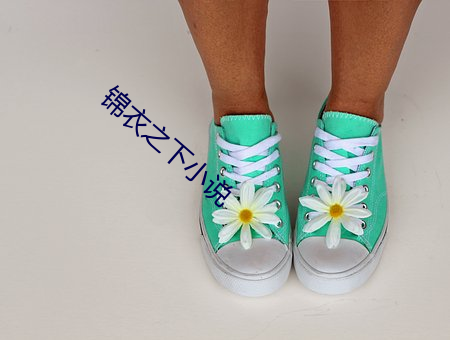 锦衣之下小说 （衬衣）