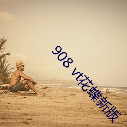 908 vt花蝶新版