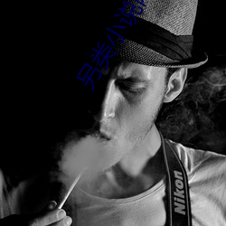 另类小说网 （拨云见日）