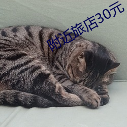 金年会 | 诚信至上金字招牌