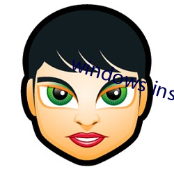 windows installer 4.5