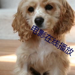 電影在線播放