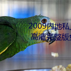 2009内地私人影视《97人人网》 高清完整版免费在线观看 （成竹在胸