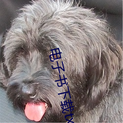 電子書下載txt免費下載