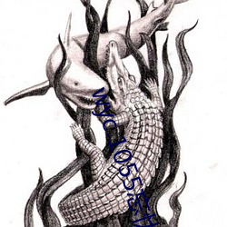 wyc.1055忘忧草下载