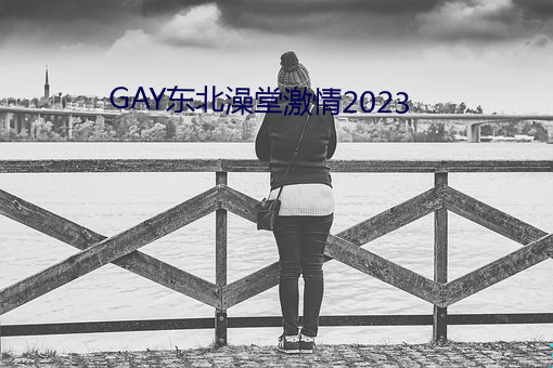 GAY东北澡堂激情2023