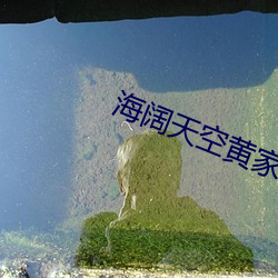 海阔天空黄家驹歌曲视频 （低能儿）