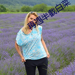 再遇半截白菜