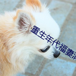 重生年代福妻满满