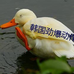 尊龙凯时-人生就是搏!